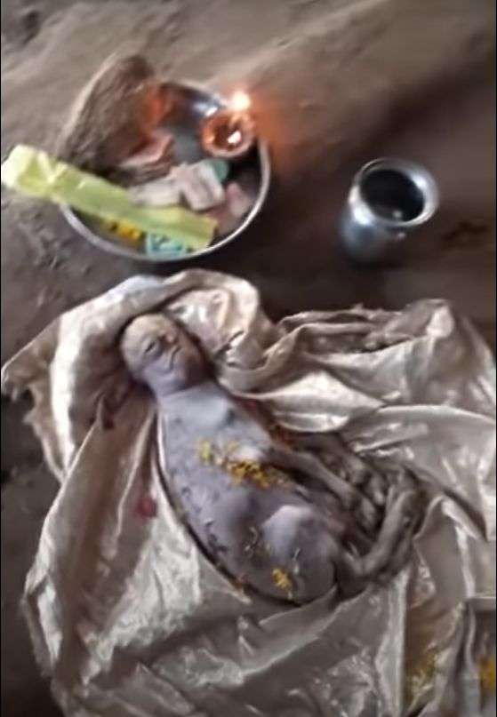 印度出现人脸山羊怪胎,有人说是人兽杂交,这究竟是怎么回事?