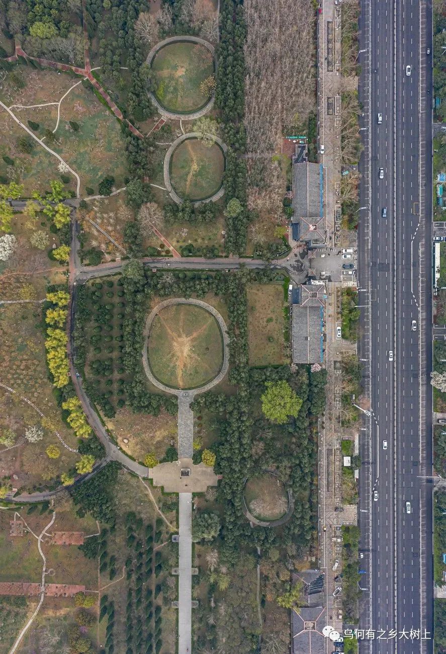 曹四孤堆,尚未发掘的四联排曹魏大墓,墓主和曹操什么关系?