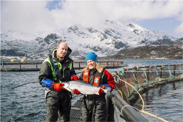 挪威三文鱼:海产养殖助力解决食物短缺问题