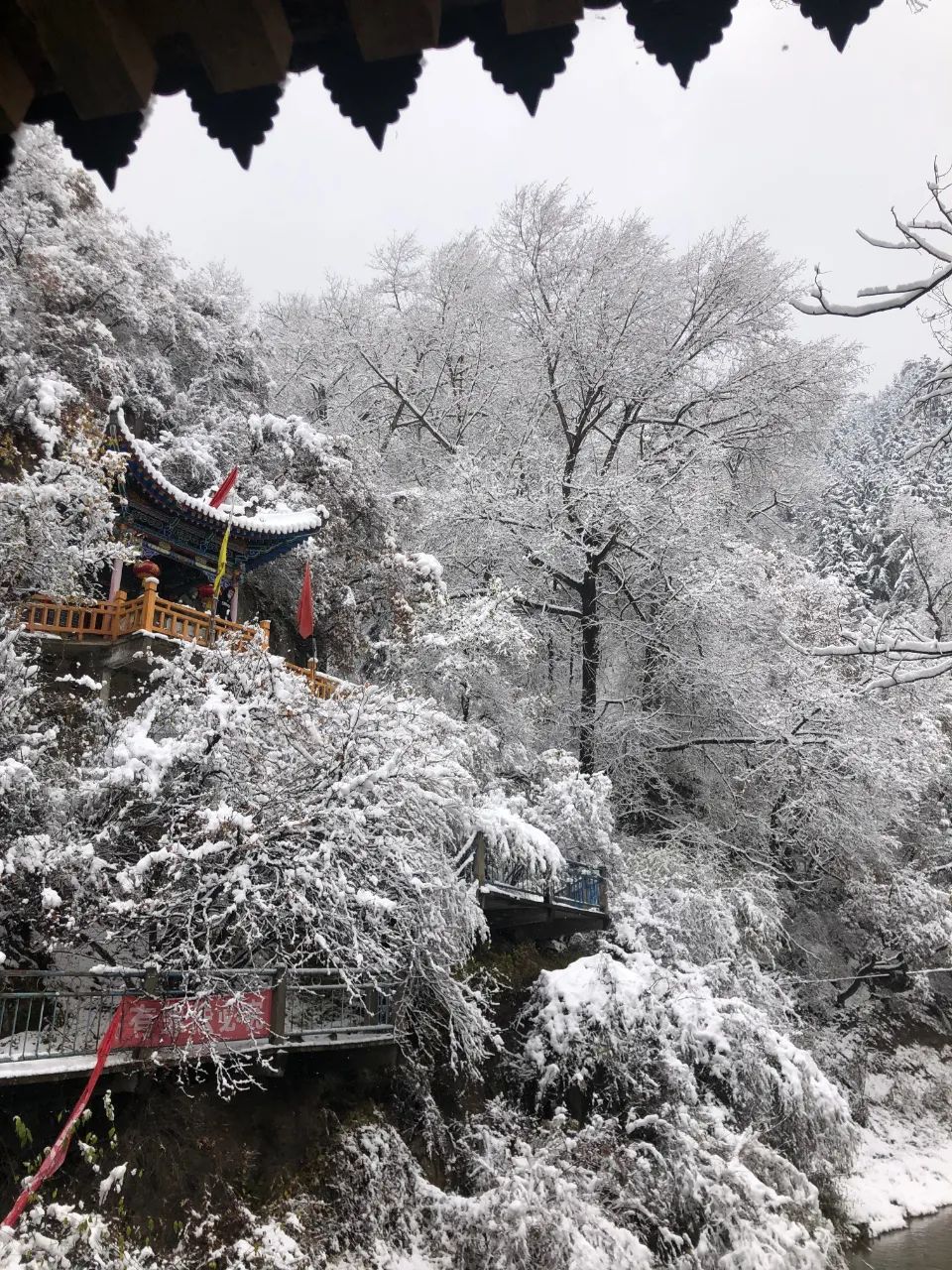 兰州下雪图片真实图片