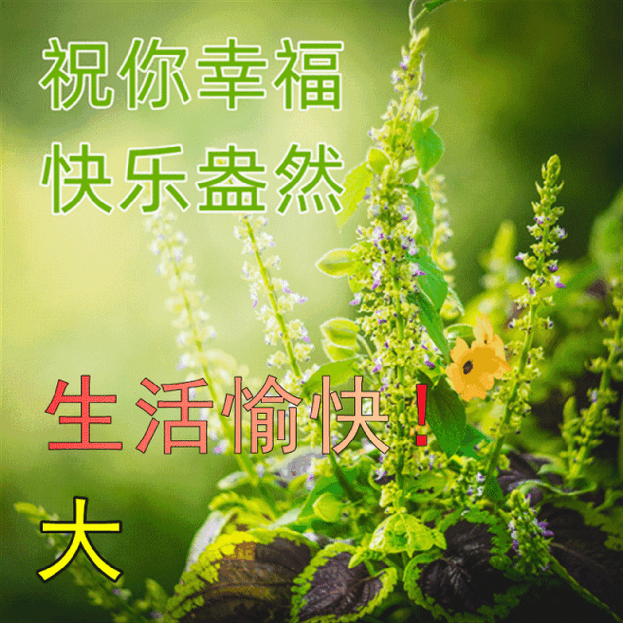 清晨最新早上好图片,早上好鲜花图片表情精选 1,【值得深交的五种人】
