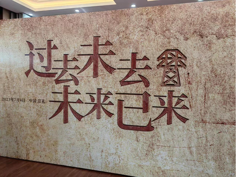 国网冀北电力党委副书记王西胜:《大国电力》大在情怀格局和奉献作为