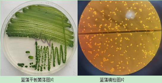 50人大型联合科考队,破解世界长寿之乡生态圈微生物密码!