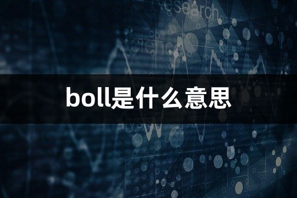 boll是什么意思