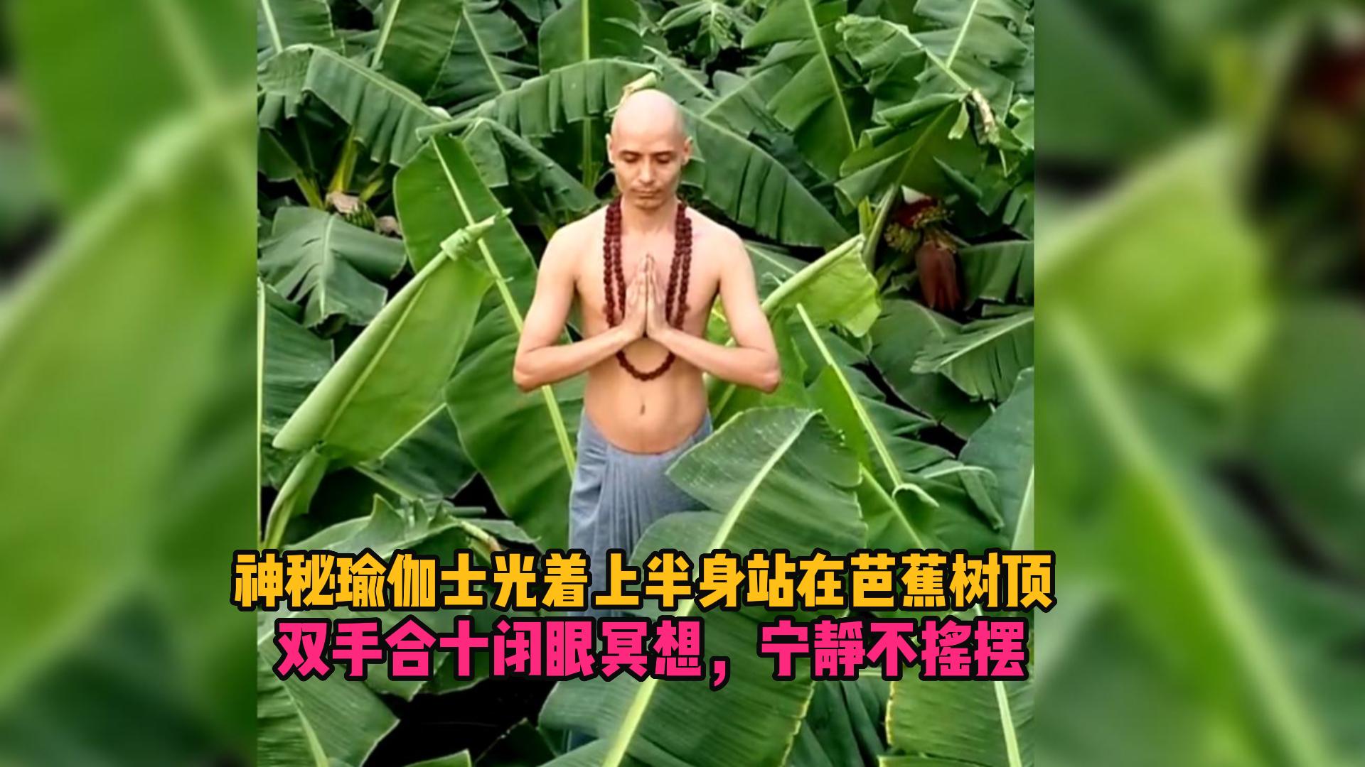 神秘瑜伽士光著上半身在芭蕉樹頂,雙手合十閉眼冥想,寧靜不搖擺