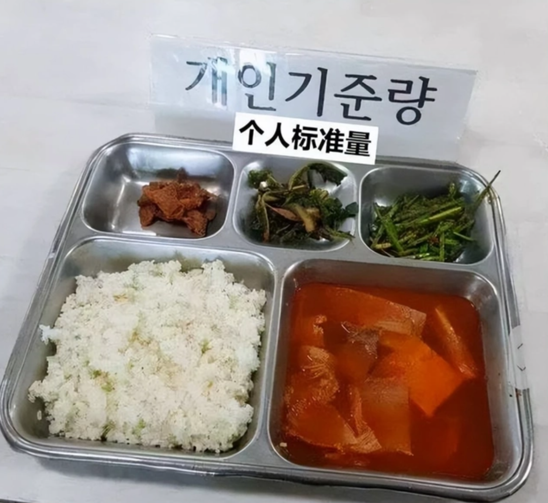 日本韓國較勁,比軍隊伙食誰窮酸,印度:你們好歹吃的是陽間食物