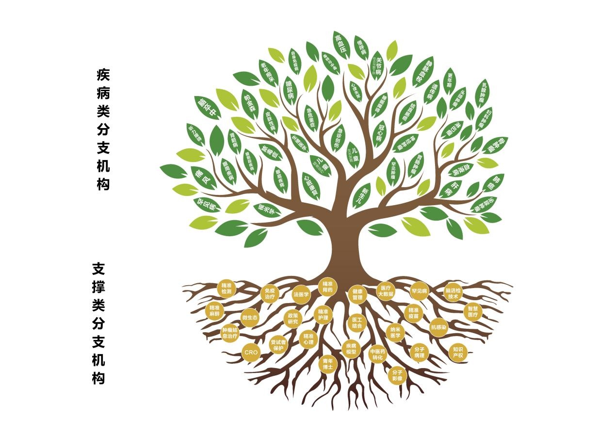 广东省精准医学应用学会祝大家元旦快乐!