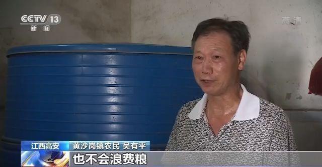 推荐|“一年损失一个吉林”，中国每年粮食产后损失700亿斤，如何全链条节粮减损？