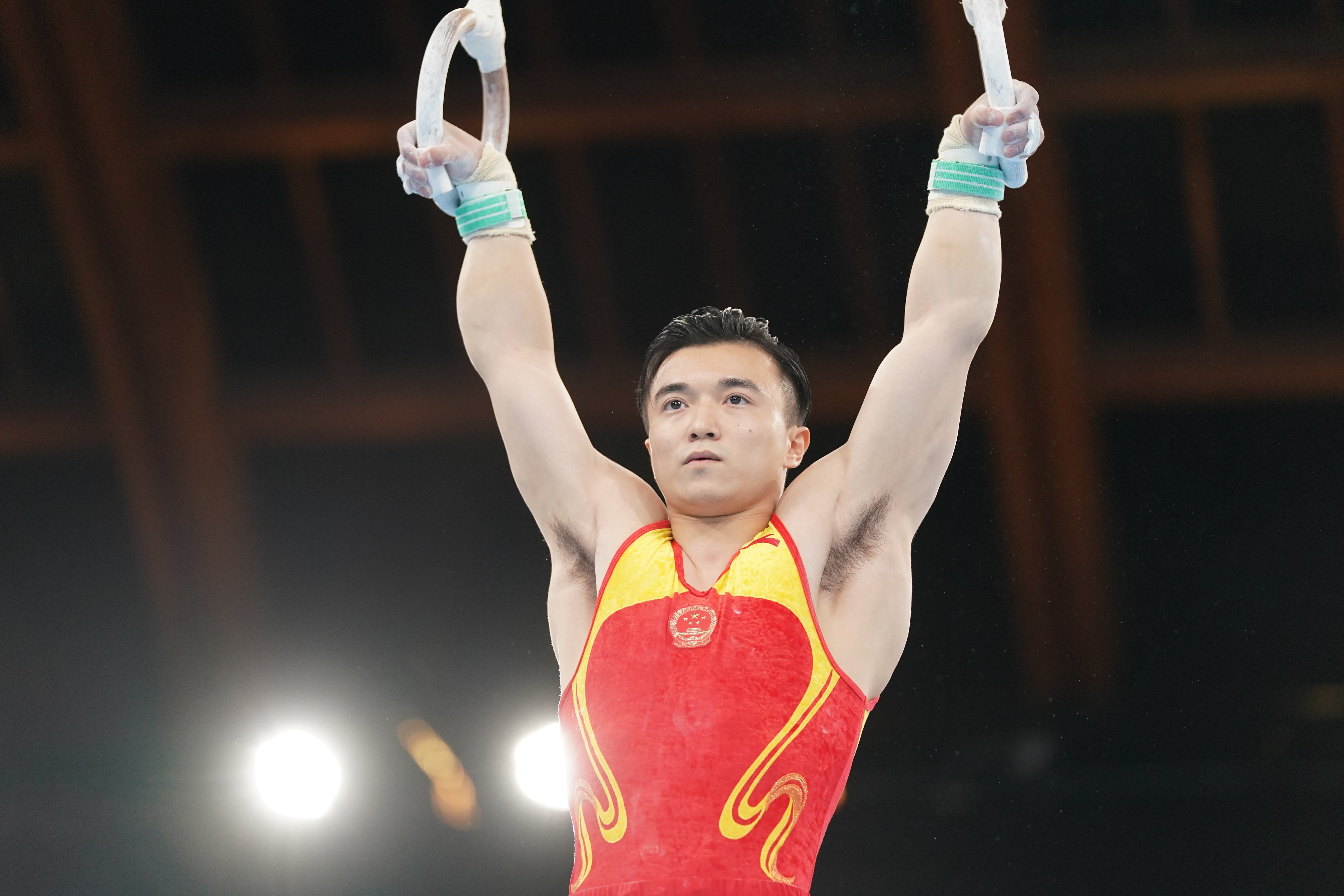 体操——刘洋夺得男子吊环冠军(2)