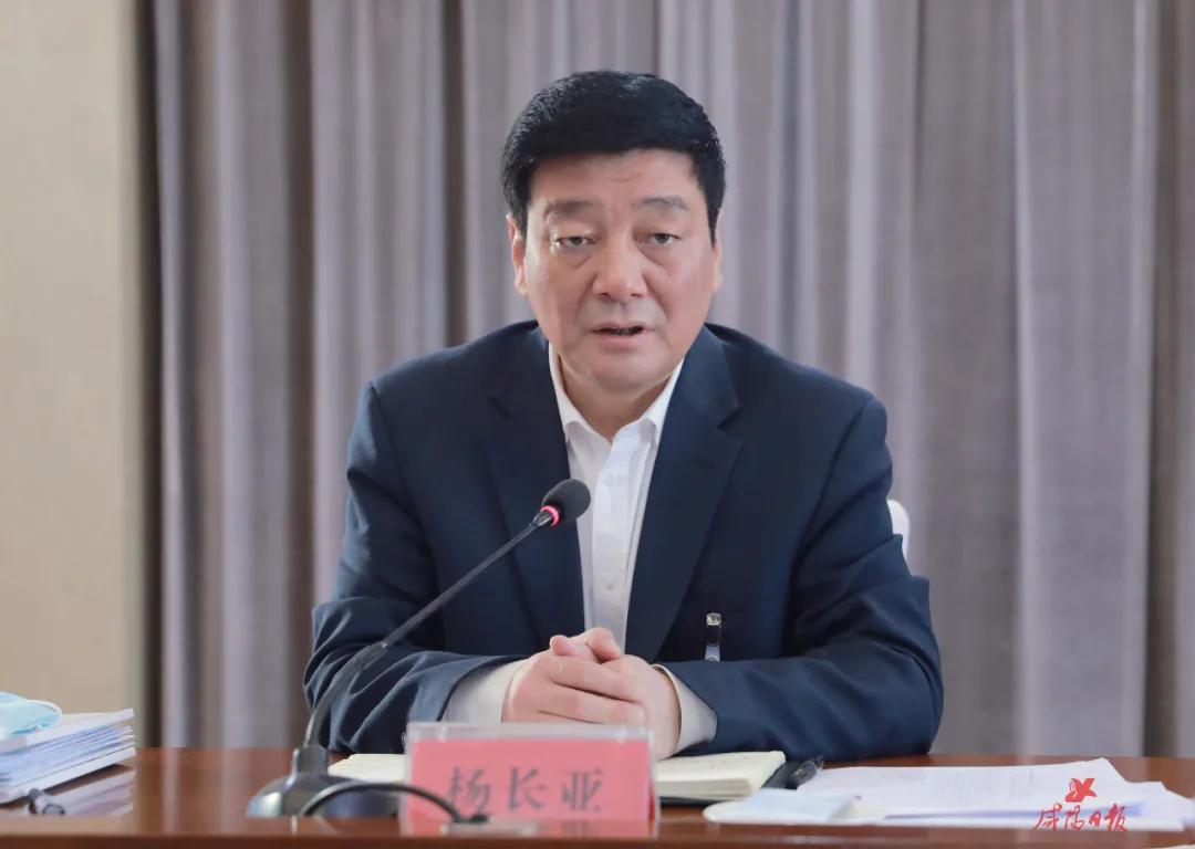 杨长亚参加三原代表团审议