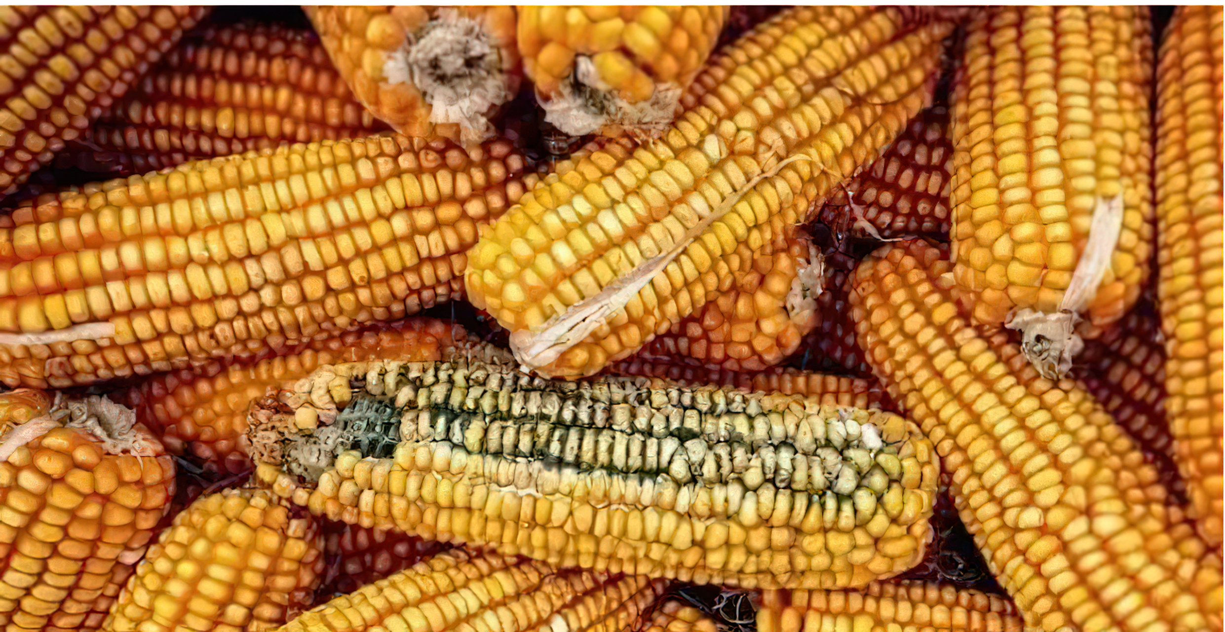 全球约一半肝癌在中国?再次提醒:家中的3种食物,尽快撤下餐桌