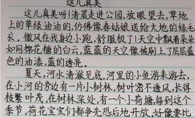 这份小学生的作业火了