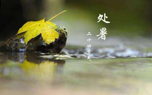 明天处暑,农谚:"立秋下雨人欢乐,处暑下雨万人愁",为啥呢?