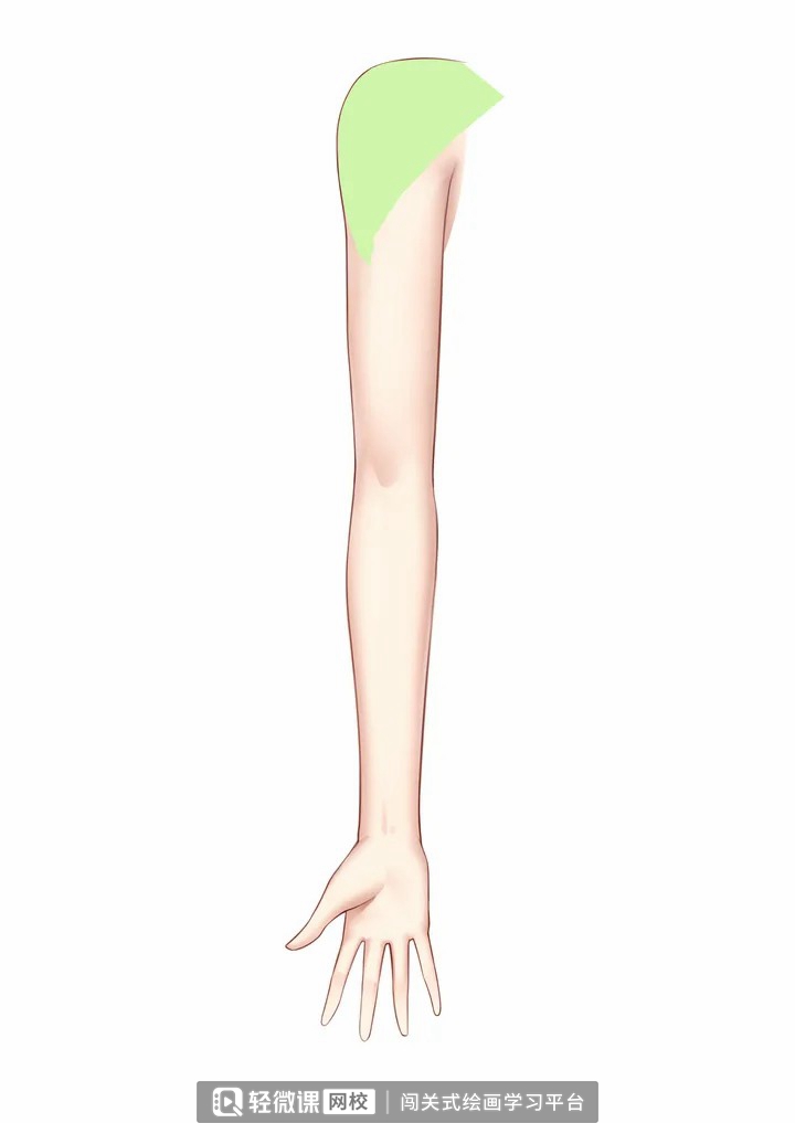 怎么画动漫人物手臂?动漫人物手臂画法步骤!