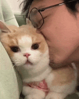 273_340竖版 竖屏gif 动态图 动图