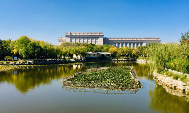 天津大港公园,孩子能玩飞机大炮,大人乘凉聊天的家门口森林公园