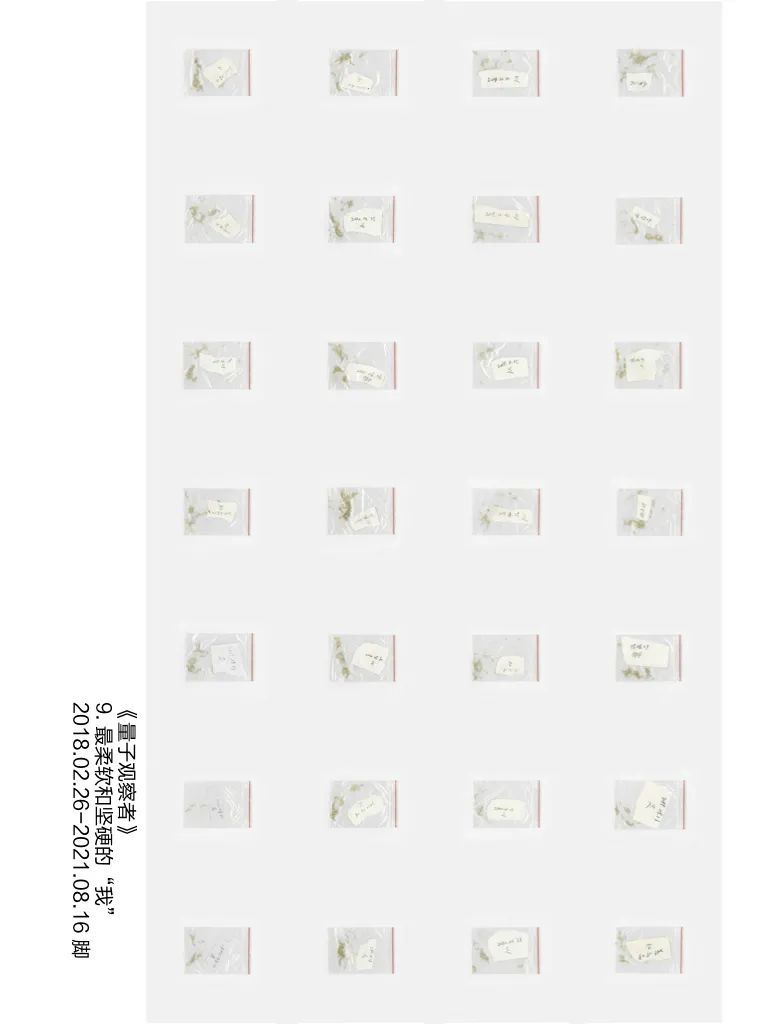 量子观察者 | 黎光波