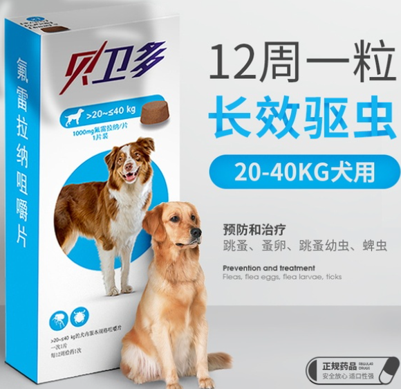 蜱虫在狗身上怎么处理?这些重点需注意