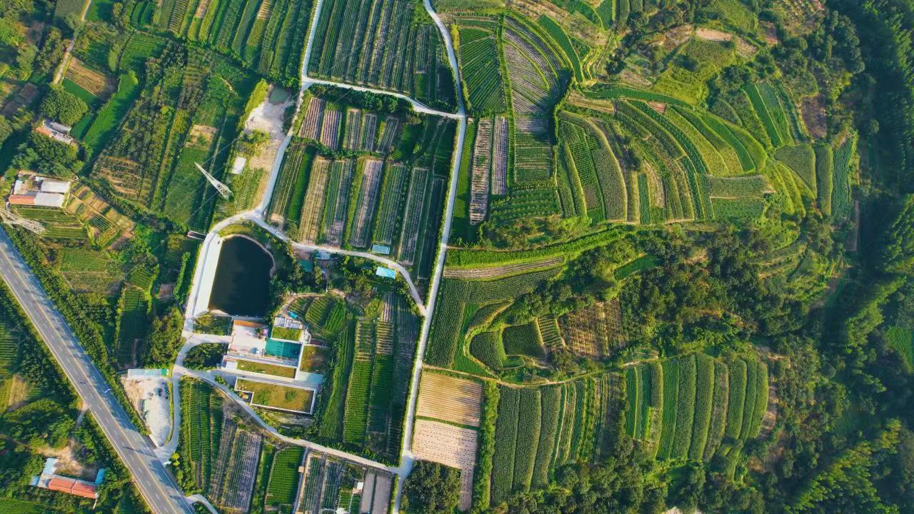 山东省五莲县潮河镇激活"红色引擎","领跑"乡村振兴