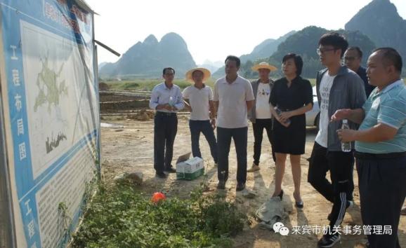 刘香婷到到兴宾区旱改水项目开展调研指导