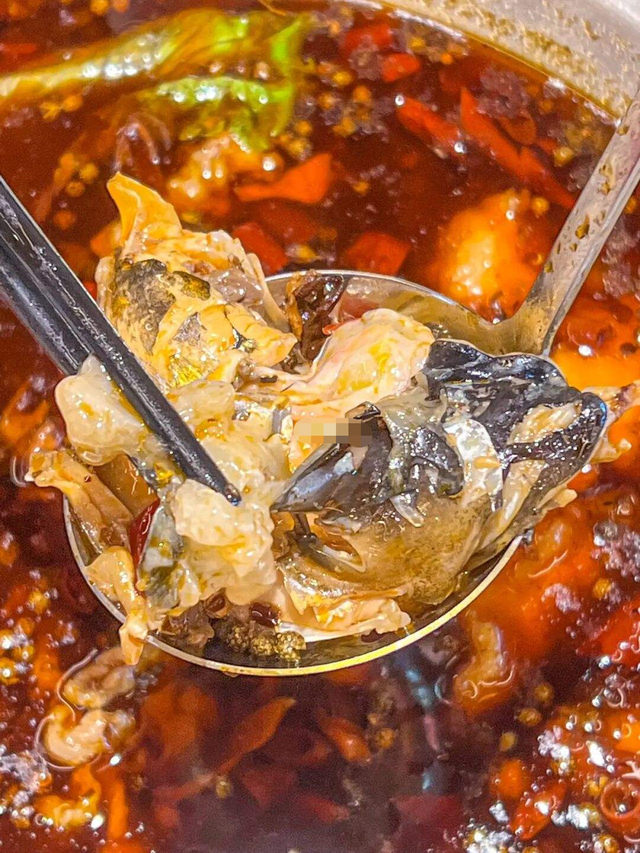 鱼头火锅,怎么都只集中在顺德,广东其他地区少之又少呢?