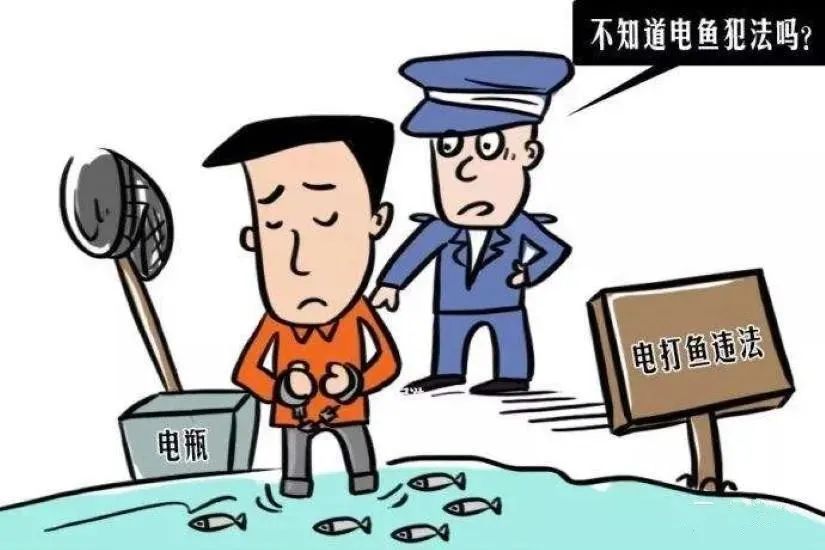 「以案释法」想要吃鱼非法捞?电鱼人难逃法网终被罚!