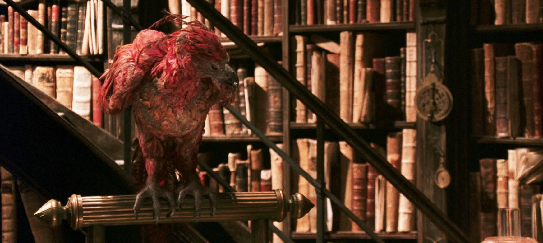 在《哈利·波特》的设定中,凤凰是怎样一种神奇动物呢?