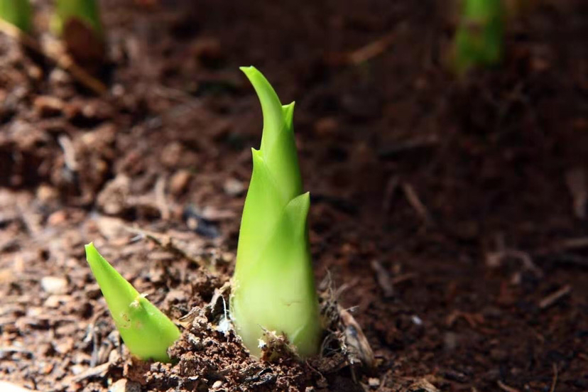 励志语录 告诉自己:努力,就总能遇见更好的自己