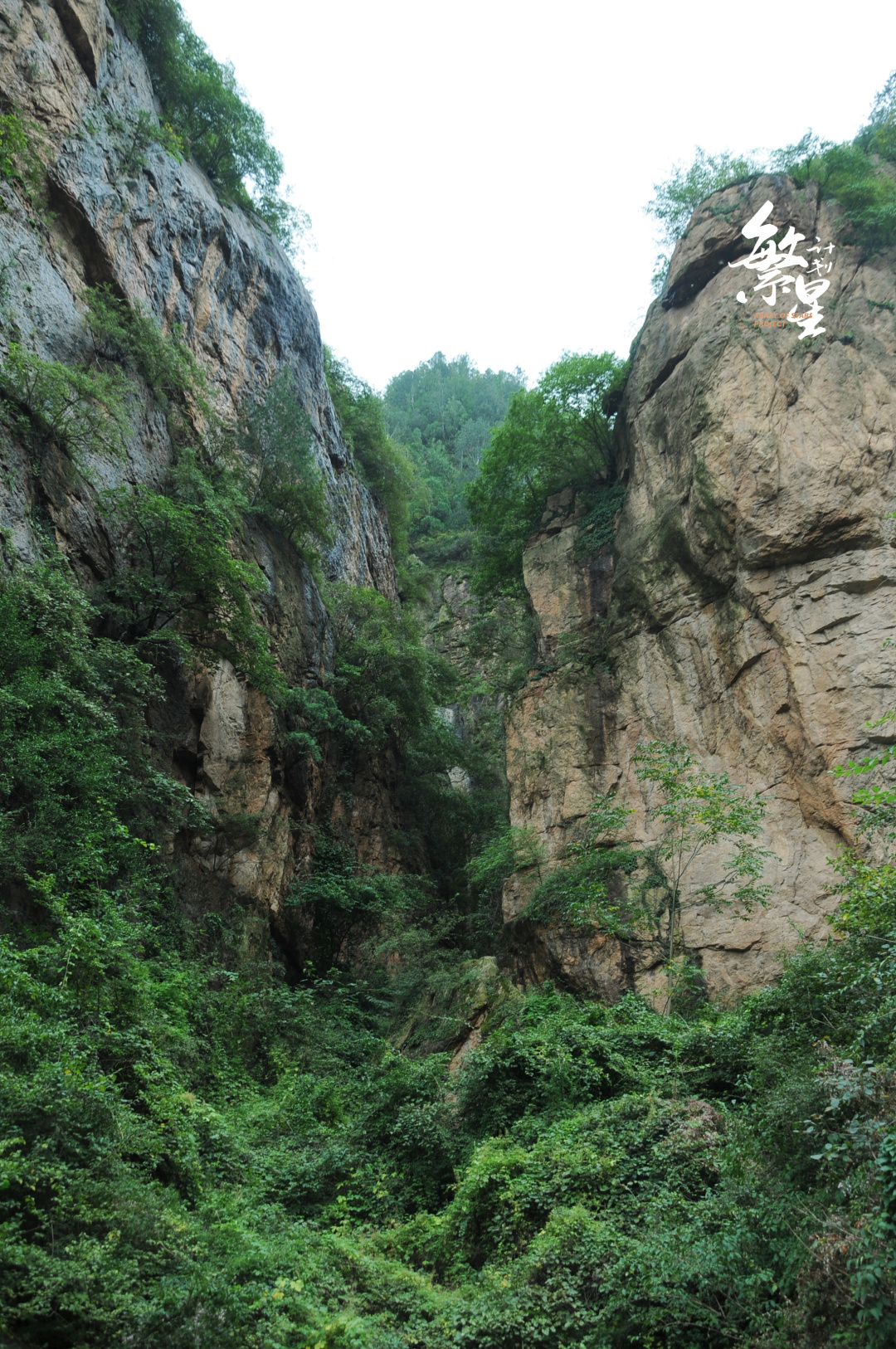 空山在哪里图片