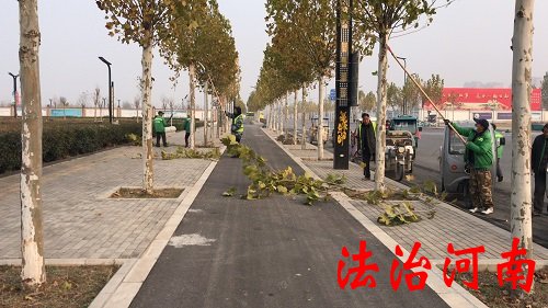 园林绿化树苗价格表最新版