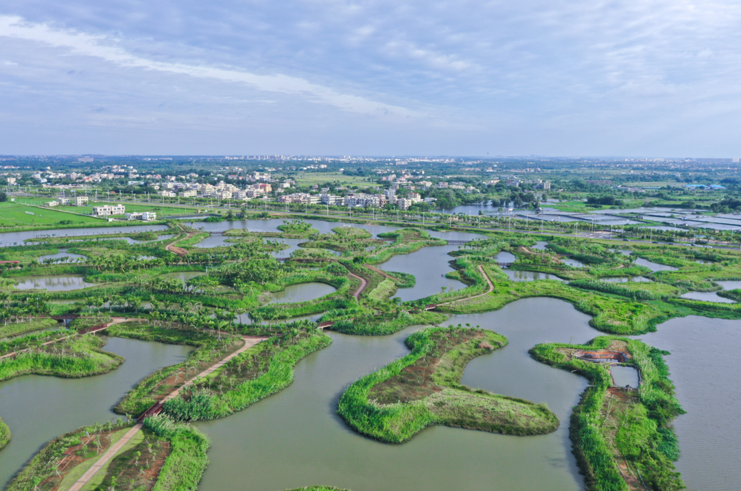 江东新区坚持"生产,生态,生活"三生融合发展,打造现代化新城