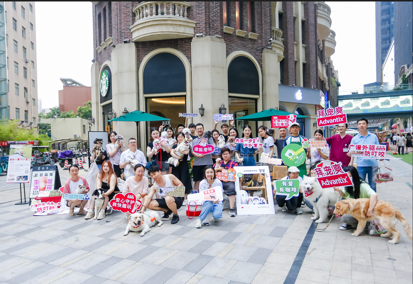 新瑞鹏旗下宠颐生夏日养宠课堂"清凉"来袭