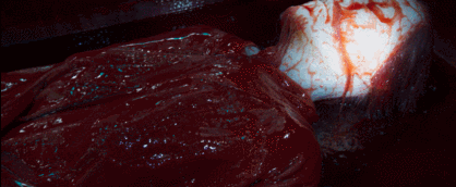 就像那具古尸,其身上布满的红线就像是一种寄生真菌,它们依靠红色液体