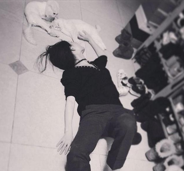 34岁倪妮的"豪宅"火了,全屋奢华精致,没有一丝俗气,真高级