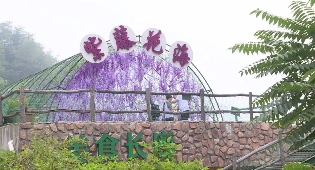 美景重启 精彩继续丨石家庄灵寿漫山花溪谷修复升级 体验感安全系数