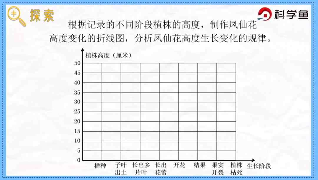 凤仙花传播种子的方法（凤仙花种子萌发时根总是怎么生长） 第10张