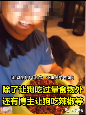 |宠物博主让狗当大胃王，一次吃100种零食！网友：为了卖货不择手段