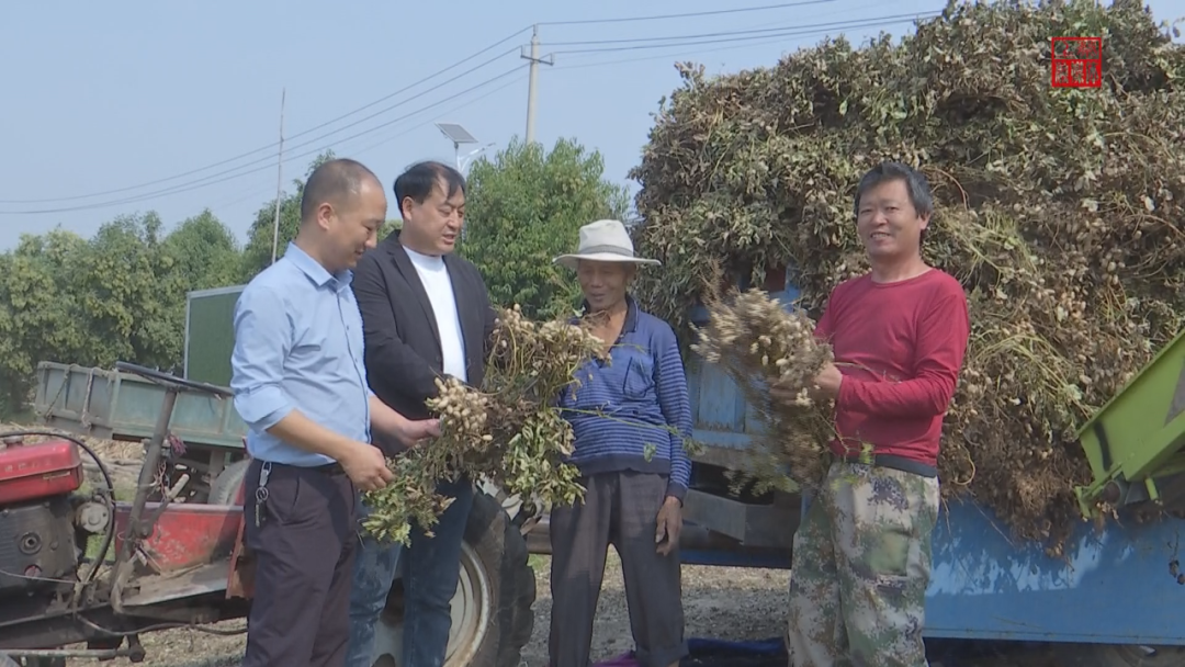 上蔡县蔡沟镇扎实推进 "三秋"生产