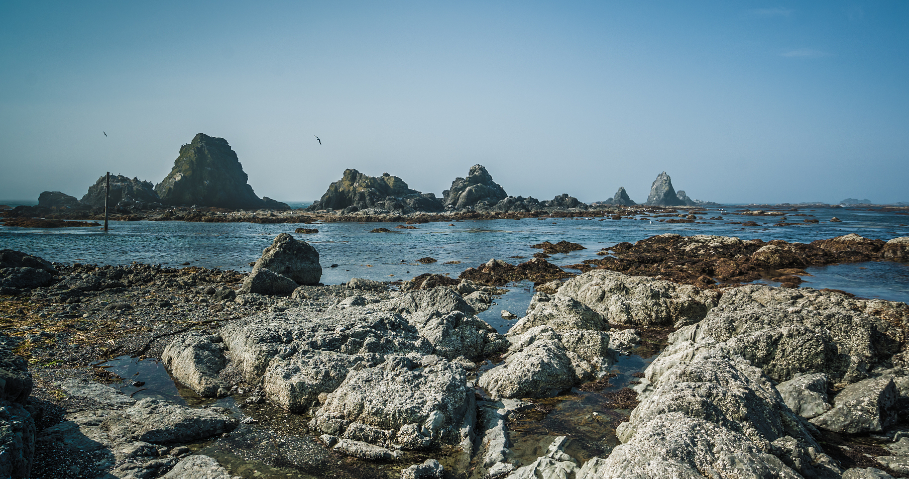 大连海边旅游景点推荐,大连8个看海好去处,每一个都太美了!