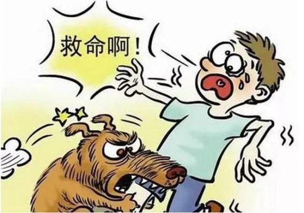 小猫小狗会伤人图片图片