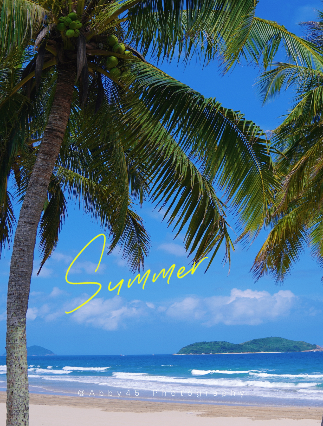 海南最美海湾,有一个与青山为邻,与碧海作伴的最美凤凰九里书屋