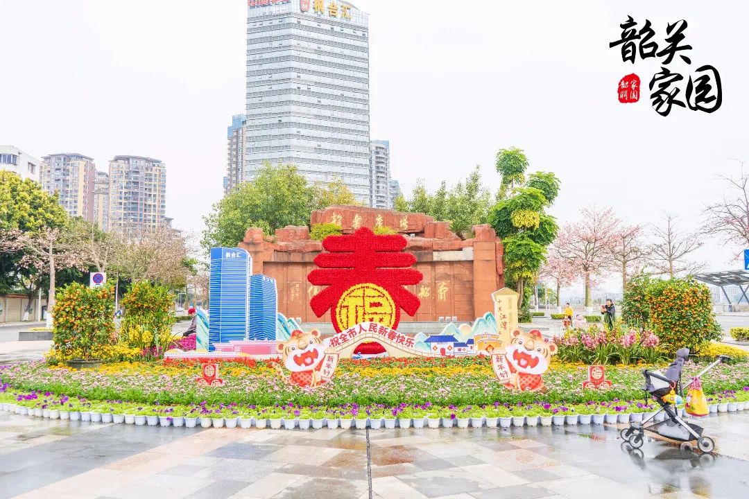 韶城各处摆花迎新春你家附近也摆上花了吗