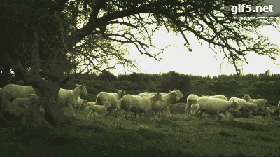 靠假棉花,蒙了国人94年!嘴上爱国的老字号,何时能为国争光?