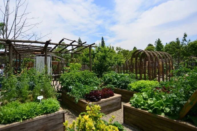 李子柒的后院永不过时~菜园也是花园,藏着中国人骨子里的向往