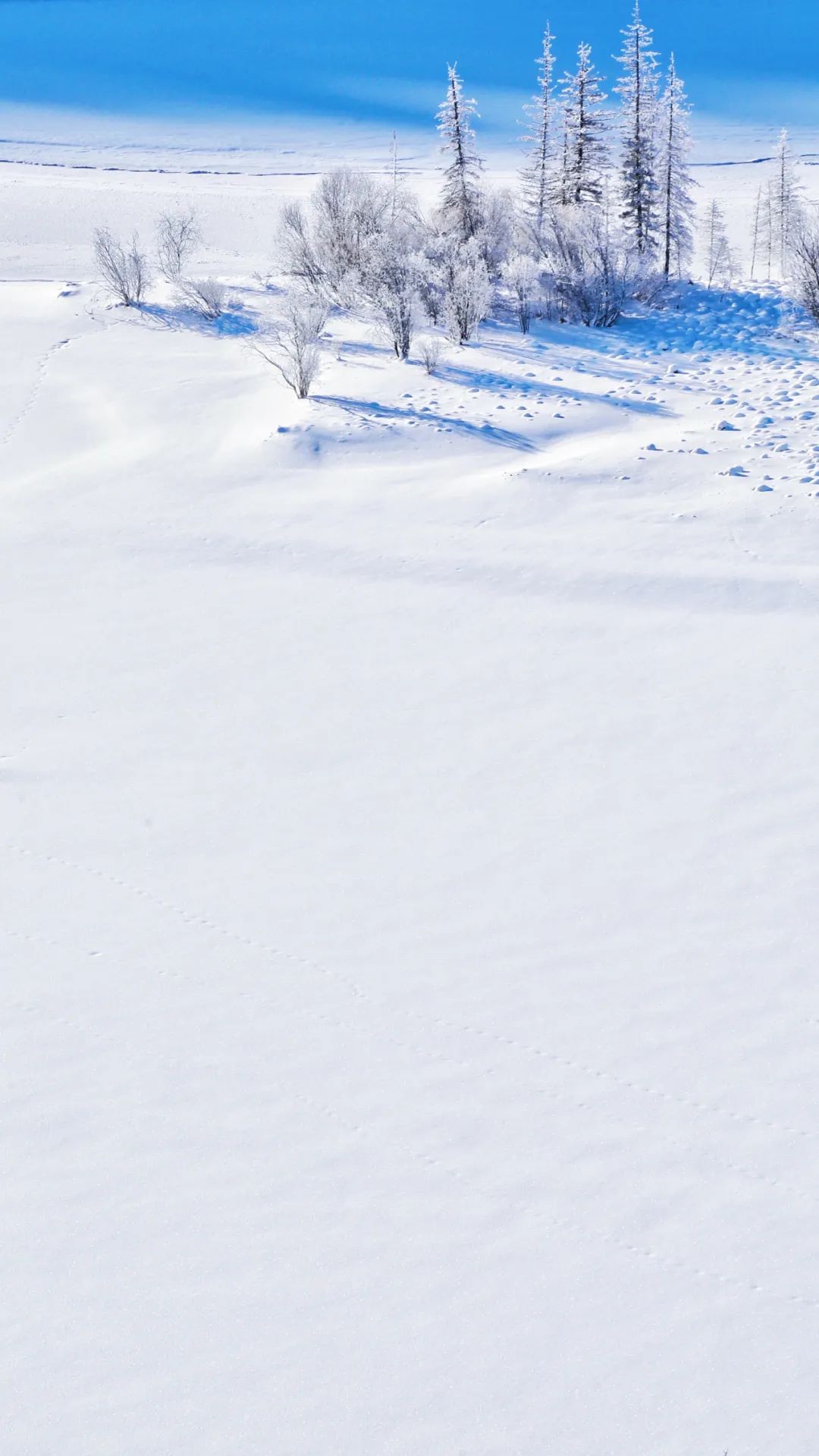 新疆雪景图图片