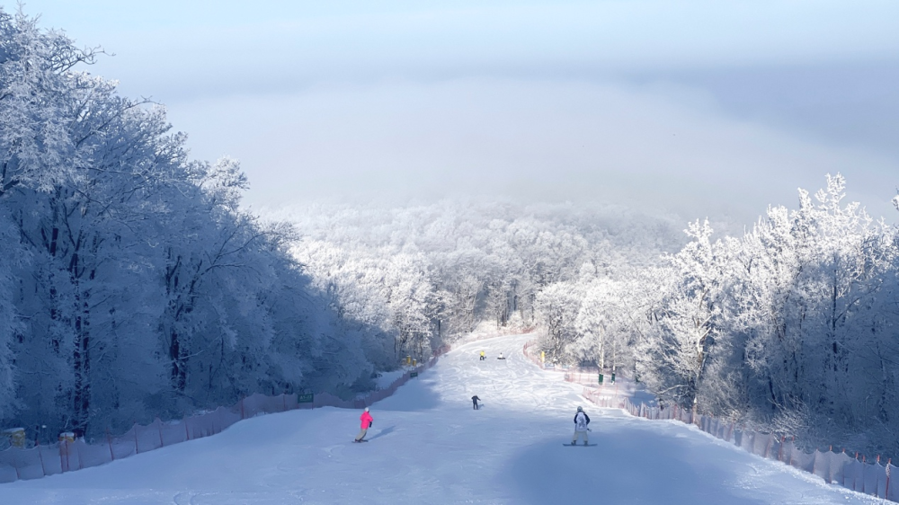 吉林雪景最美的地方图片