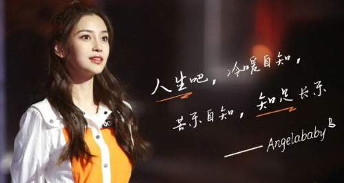 高景观婴儿车Bugaboo Fox2