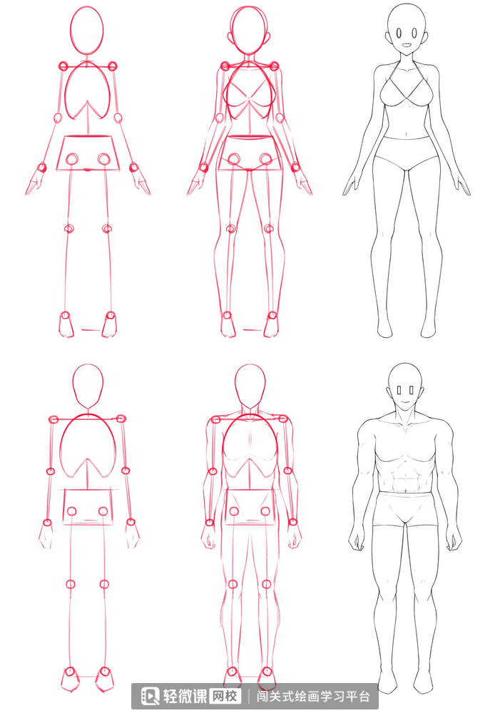 画漫画人体技巧教程!