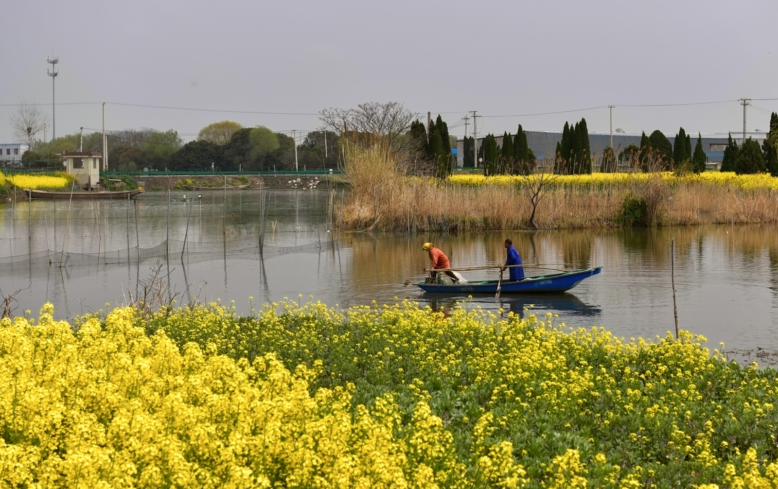 陈海量摄影作品欣赏——海安里下河风光