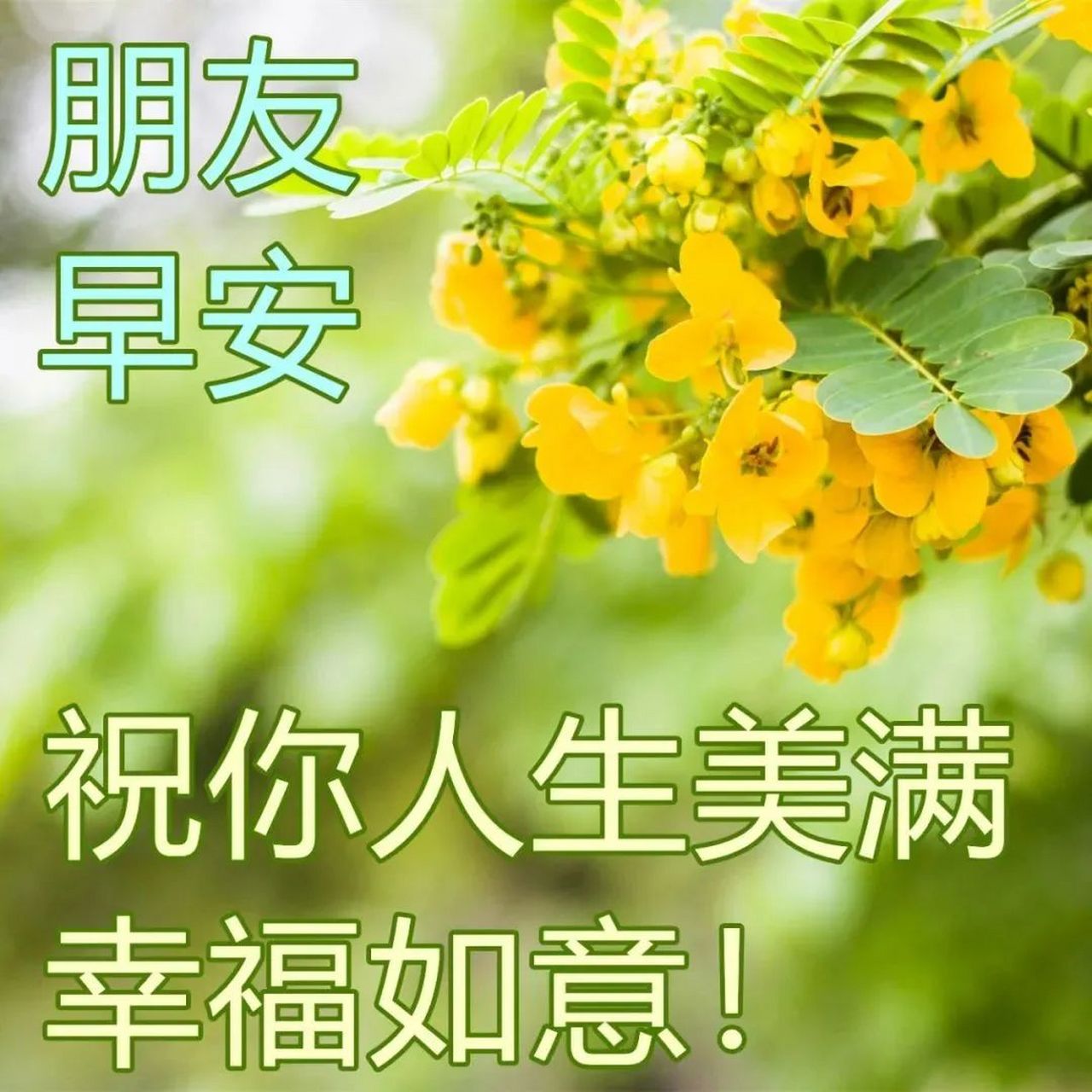 早上好图片问候美句 周四最新图片 1. 早安!希望你今天充满活力. 2.